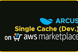 Arcus Single Cache (Dev.)를 소개합니다