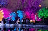 photo of families with bright colored trees near water feature