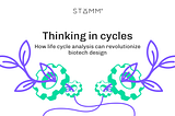 Thinking in cycles: How life cycle analysis can revolutionize biotech design