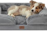 Best dog beds to buy right now