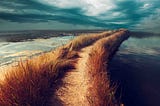 Practical Growth is Now on Substack