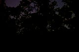 I’ve looked at the stars with a lot of different people