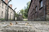 5 documentários para entender melhor o nazismo — por Rafael Libman