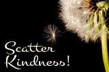 Scatter kindness ~ like never before