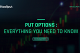 Put Options: Everything You Need to Know