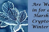 Are we in for a long and harsh crypto winter 2022?