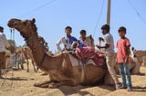 I Got Stoned & Rode a Camel Through The Desert Alongside Pakistan