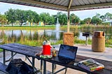 A laptop computer, large cooler drink, binder, orange juice, seat cushion and other items sitting at a park pic nic table with water and fountain in the background, surrounded by tall grasses and full, well groomed trees