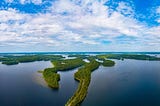 How Business Can Regenerate Nature: A Case Study from Finnish Lakes