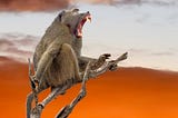 The Baboon and the Mountain | #MyFridayStory №381