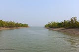 SUNDERBANS……….THE MAGICAL AND BEAUTIFUL, YET DAUNTING, UNESCO WORLD HERITAGE BIOME
