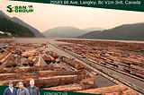 Recommended Canadian Timber Company | San Group