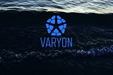 Results of the Varyon presale