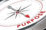 4 Reasons Why We Invest in Companies with a Purpose