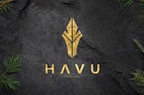 HAVU Gaming vuosikertomus 2019