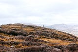 逃離 Ireland — 我跟 N 的都柏林