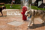 Interactive Hydrant Dog Park