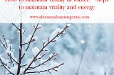 How to maintain vitality in winter