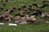 Sky Burial: How the Tibetans believe to bury corpse in the sky.