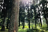 Mirik