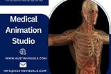 Medical Animation Studio