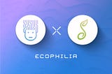 Ecophilia Cards NFTs