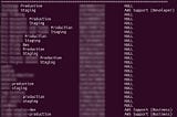 Quickly audit support levels across an AWS organisation