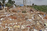Bengaluru’s Garbage Extravaganza: When Trash Turns to Triumph