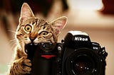 Cameras and Cats — Five Trends That Make Computer Vision Interesting Now