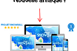 Avis : Projet Snowball : Une nouvelle arnaque dans le Dropshipping ?