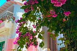 Büyükada’da Üç Gün
