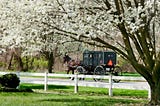 How I Celebrated Easter and Good Friday as an Amish American Child