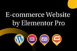 I will create multivendors wordpress ecommerce website with woocommerce
| Selles 50% Discount