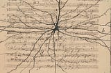 Why Your Brain Loves Predicting Music