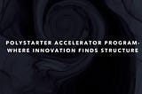 The Polystarter Accelerator Program: Where Innovation Meets Structure