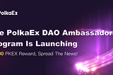 The PolkaEx DAO Ambassador Program Is Launching!