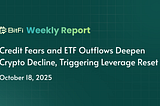 BitFi Weekly Report: Credit Fears and ETF Outflows Deepen Crypto Decline, Triggering Leverage Reset