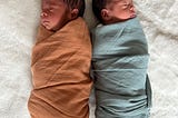 Carino Twins Birth Story