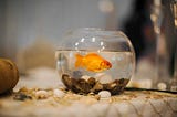 Stop suffering from 'Goldfish Memory' at the Sprint Review