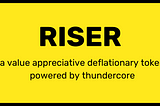 Introduction to RISER