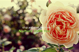 Stop, dont just smell the roses , nurture them