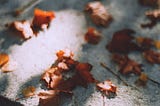 fallen leaves on gravestone