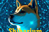 Shiba’s Future