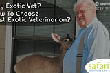 Why Exotic Vet? How To Choose Best Exotic Veterinarian?