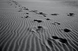 Multiple footprints across a sand dune