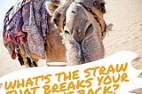What will break YOUR camel’s back?
