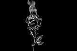 Poetry: Dead Roses