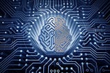 The Quantum Computer in your Brain