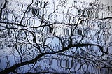 Systemic investing, impact measurement, and evaluation