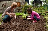 3 Gardening Tips for Beginners